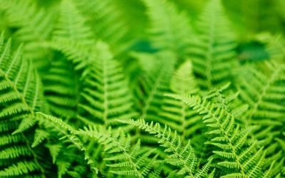 Nichts im Leben ist umsonst