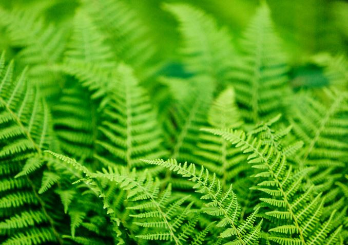 Nichts im Leben ist umsonst