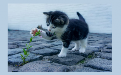 Wer berühren will, muss berührt sein