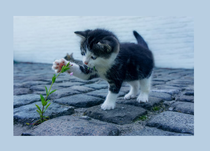 Wer berühren will, muss berührt sein