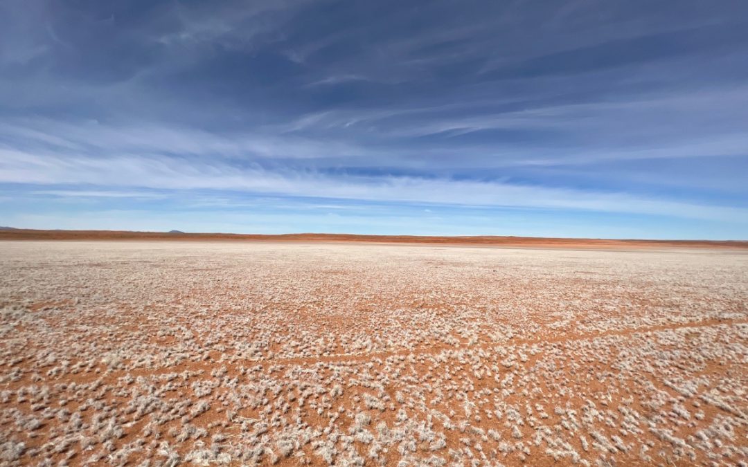 Reset: bin grunderneuert zurück