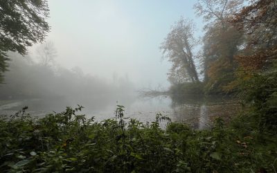 Manchmal ist der Teufel ein Eichhörnchen
