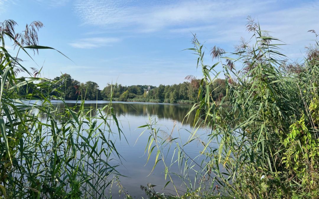 Ich bin zurück aus der Sommerpause