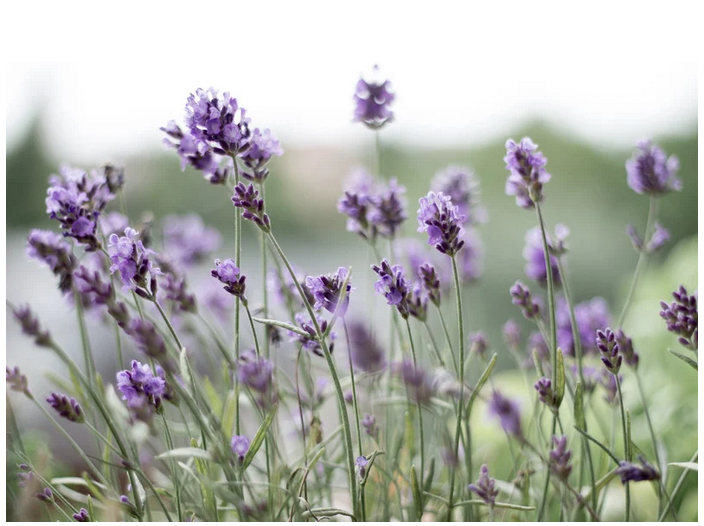 Über Vergesslichkeit und Augenhöhe