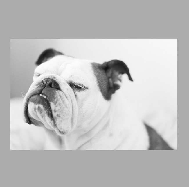 Biochemisch ist unser Körper mit negativen Emotionen nach 90 Sekunden fertig