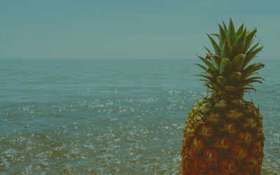 Auf ein gutes Jahr 2022!