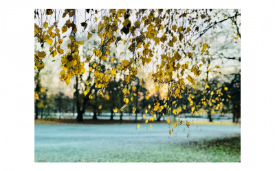 Reframing – Perspektivenwechsel zwei