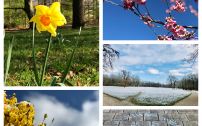 Etwas Gutes findet sich an jedem Tag