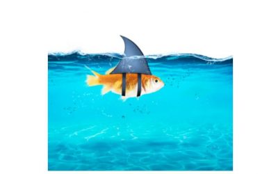 Machen Sie doch, was Sie wollen