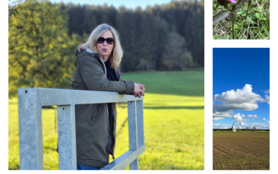 Was mich aktuell beschäftigt