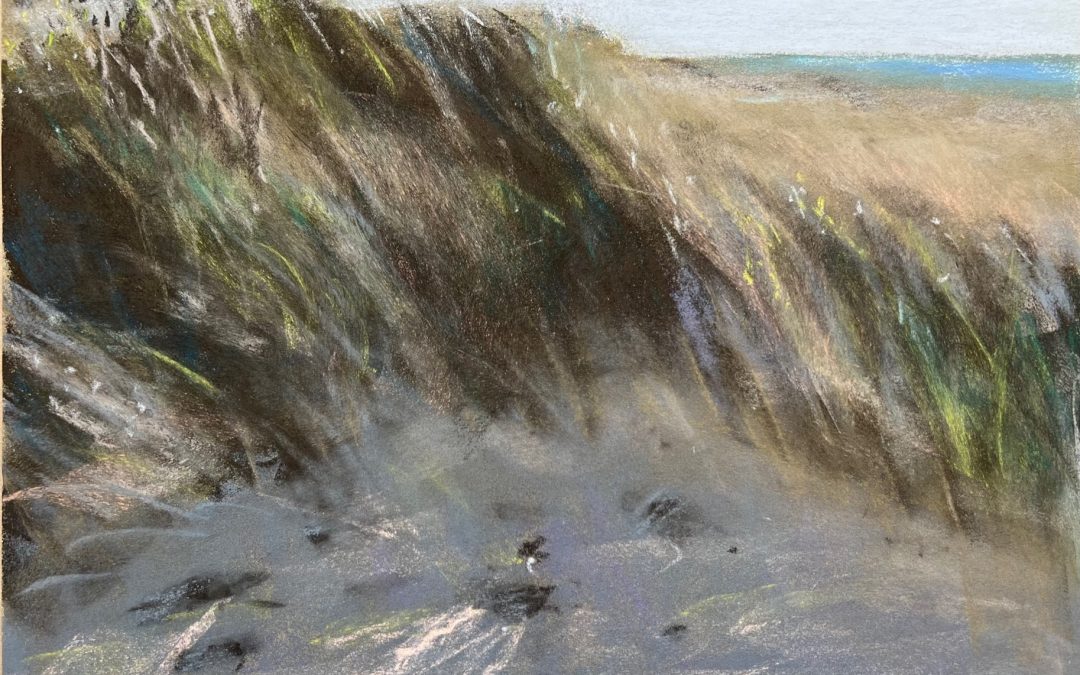 Wahrnehmung und Täuschung