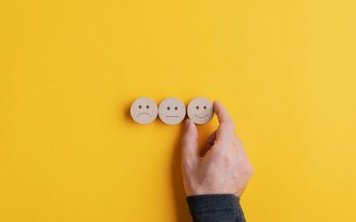 Wer die Wahl hat, hat die Qual