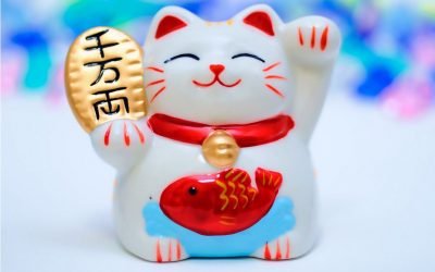 2023 – mein bestes Jahr