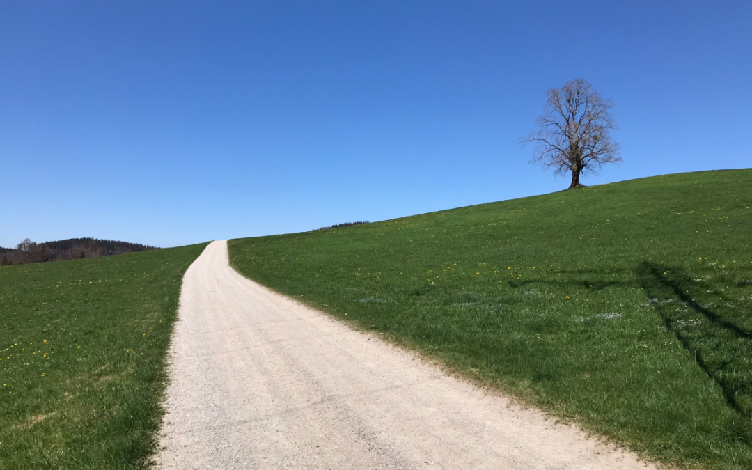 Es ist nicht wichtig, dass du schnell bist. Hauptsache, du erreichst dein Ziel.