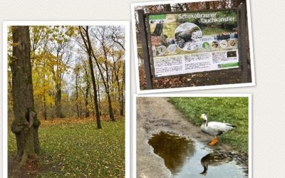 Stress pur – und keine Sekunde Zeit