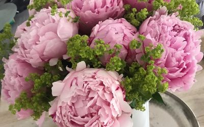 Sie haben mich zum Weinen gebracht