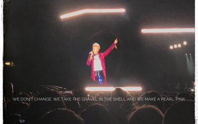 Take the gravel in the shell and make a pearl