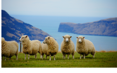 Was nährt deine Seele?