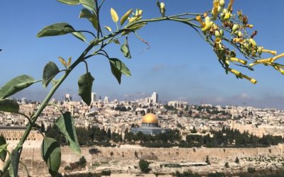 Reisen – Quelle der Inspiration