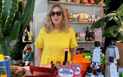 Sommer, Sonne, Kaktus