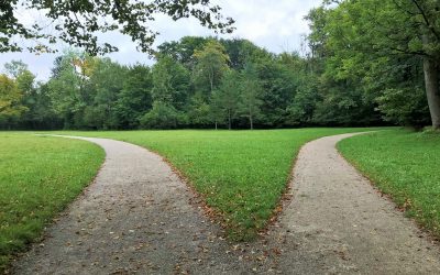 Entscheidungen treffen