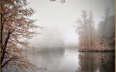 Trüber November – fiese Stimmung