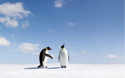 Verzeihen kann man lernen