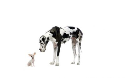 Bestimme selbst, wer dich beleidigen kann