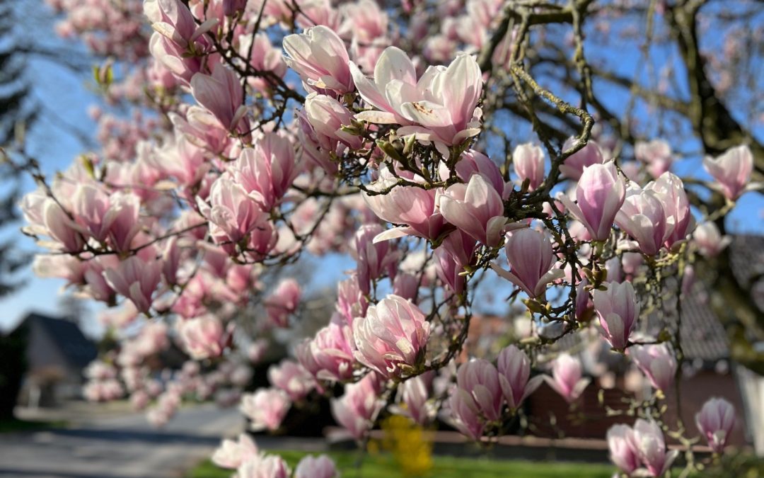 Ich will von niemanden abhängig sein!
