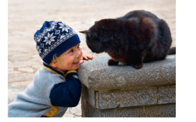 Ich wünschte, ich wäre so frei …