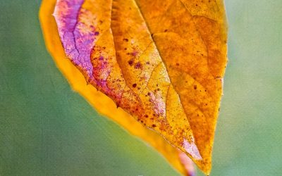 Am besten nichts mehr bereuen