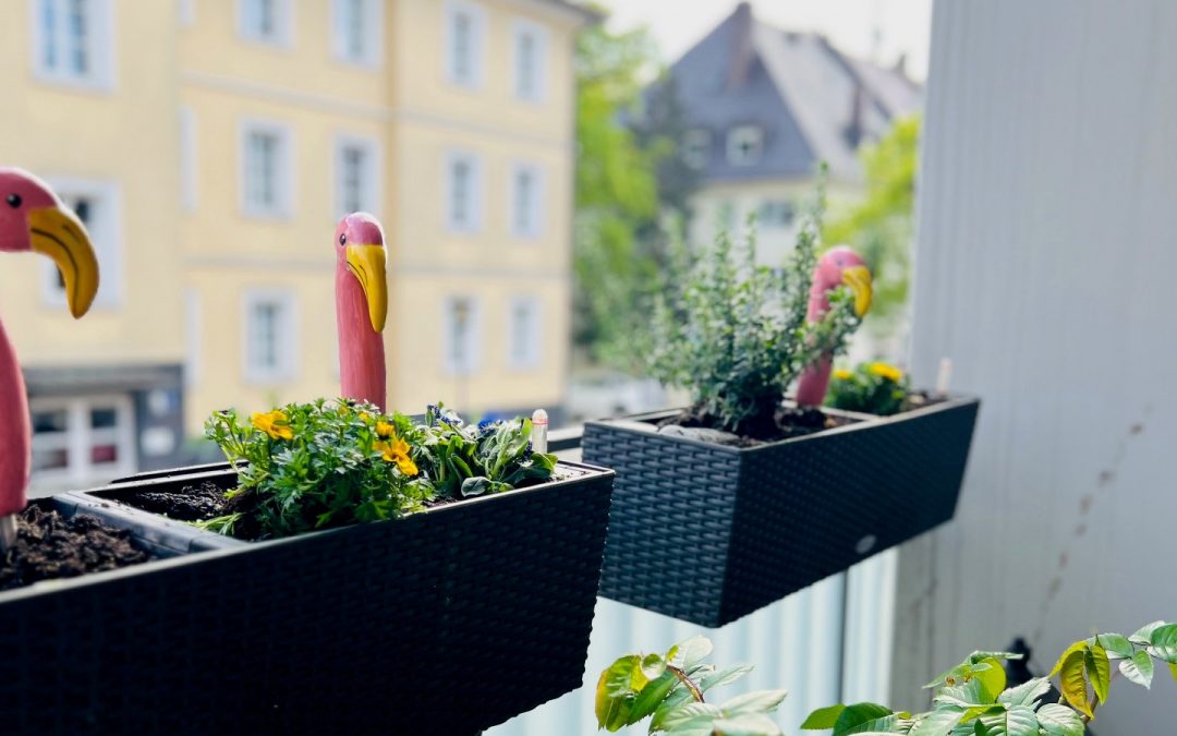 Frühling – und das fiese Gefühl, ignoriert zu werden